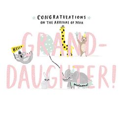 Hello and Welcome New Granddaughter Card