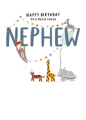 Much Loved Nephew Birthday Card