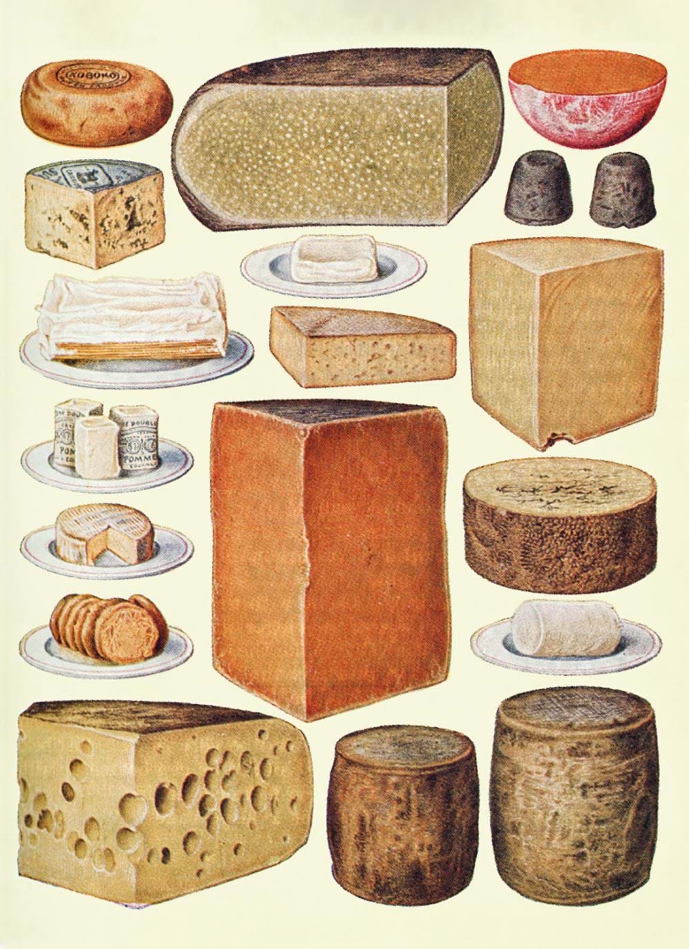 Types of Cheese Greeting Card