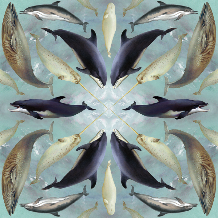Aquatic Mammals Greeting Card