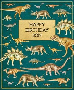 Dinosaurs Son Birthday Card