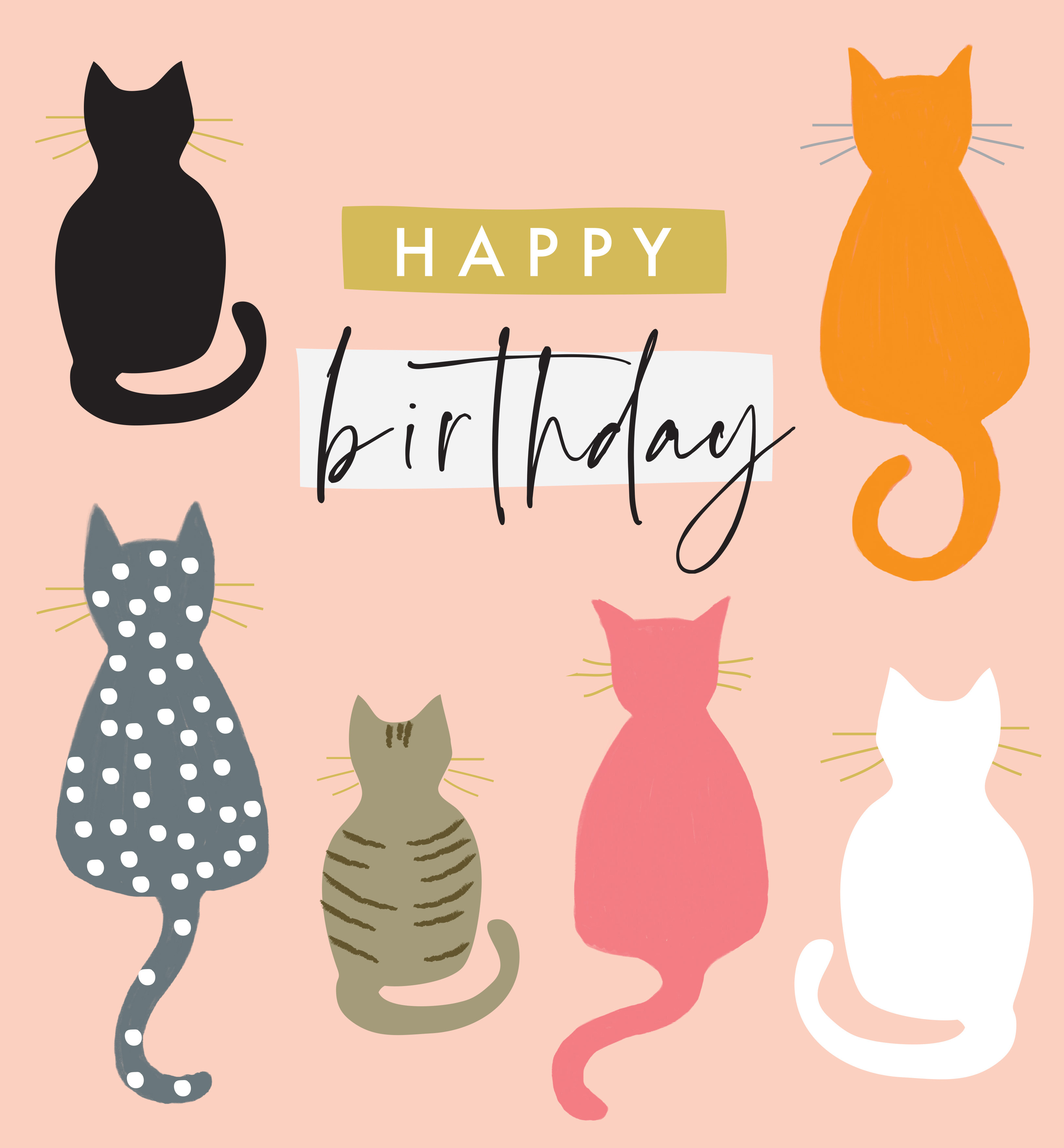 Cats Birthday Card