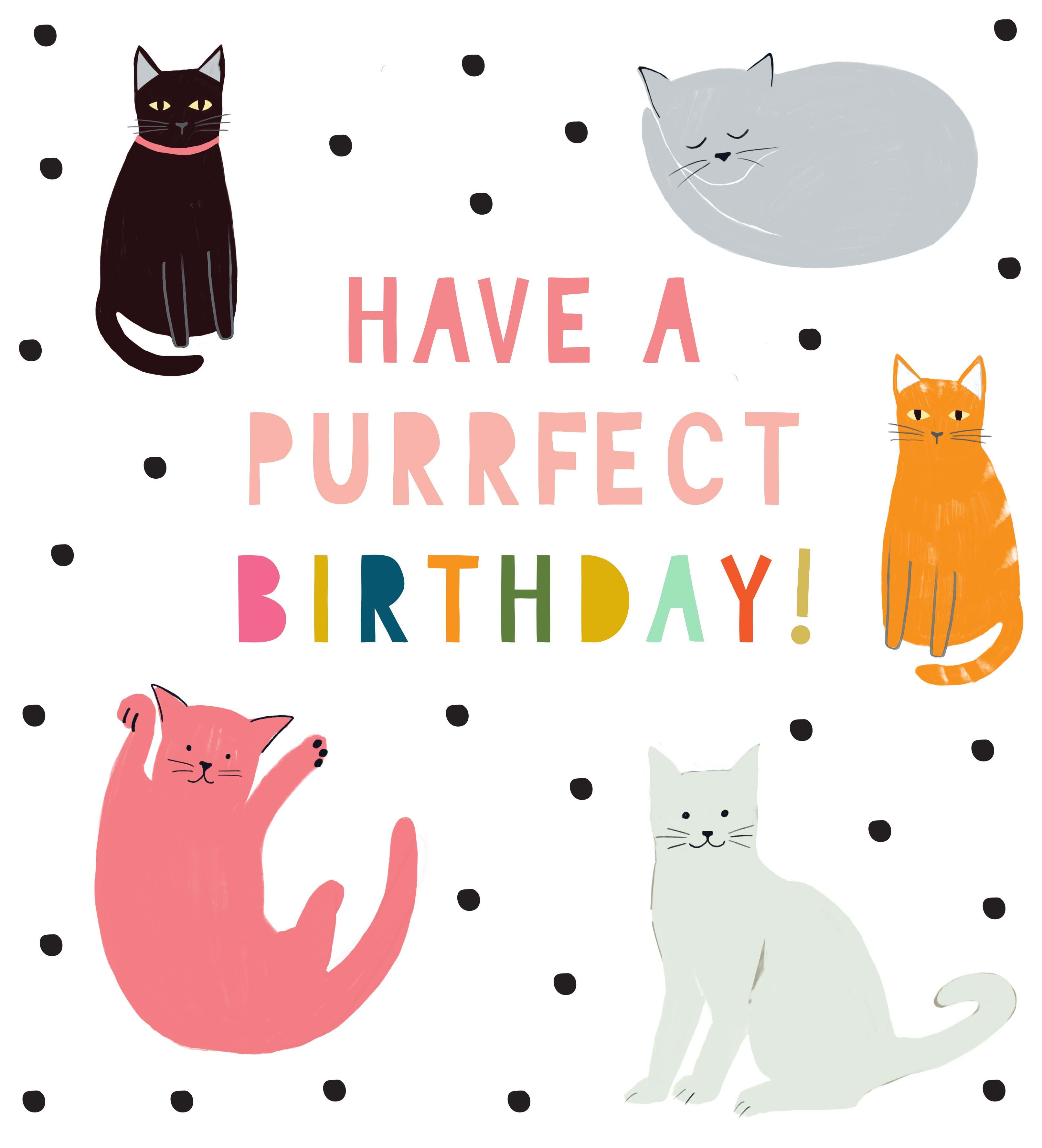 Purrfect Day Birthday Card