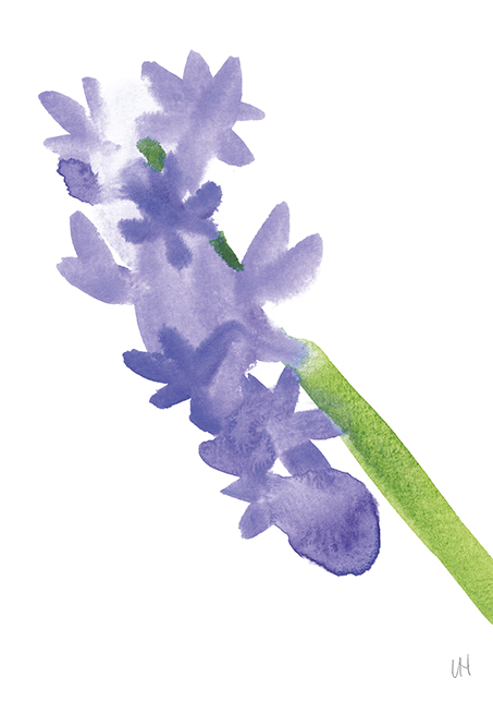 Hyacinth Greeting Card