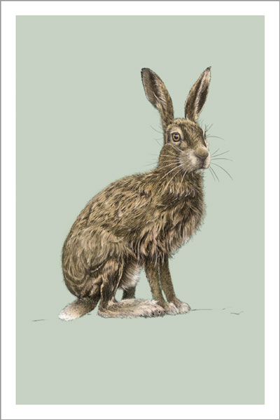 Hare Notecard Pack (10)