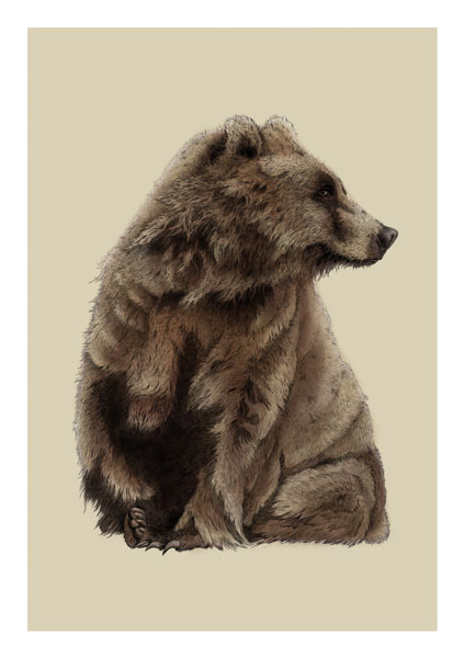 Brown Bear Greeting Card