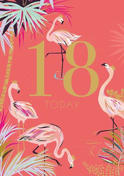 Flamingos 18th Birthday Card