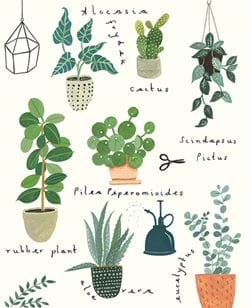 Plant Types Greeting Card