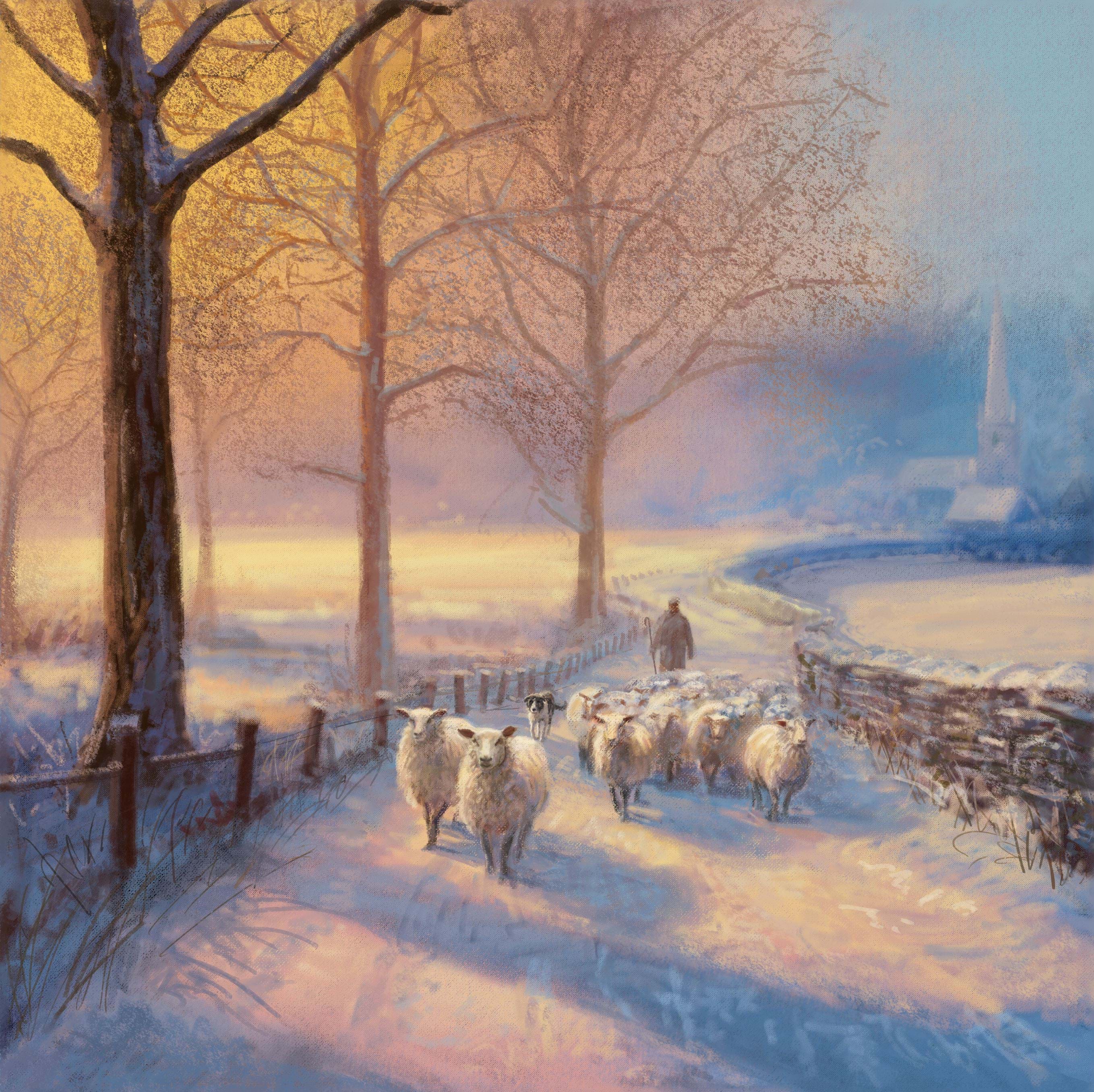Sheep Walk - Personalised Christmas Card
