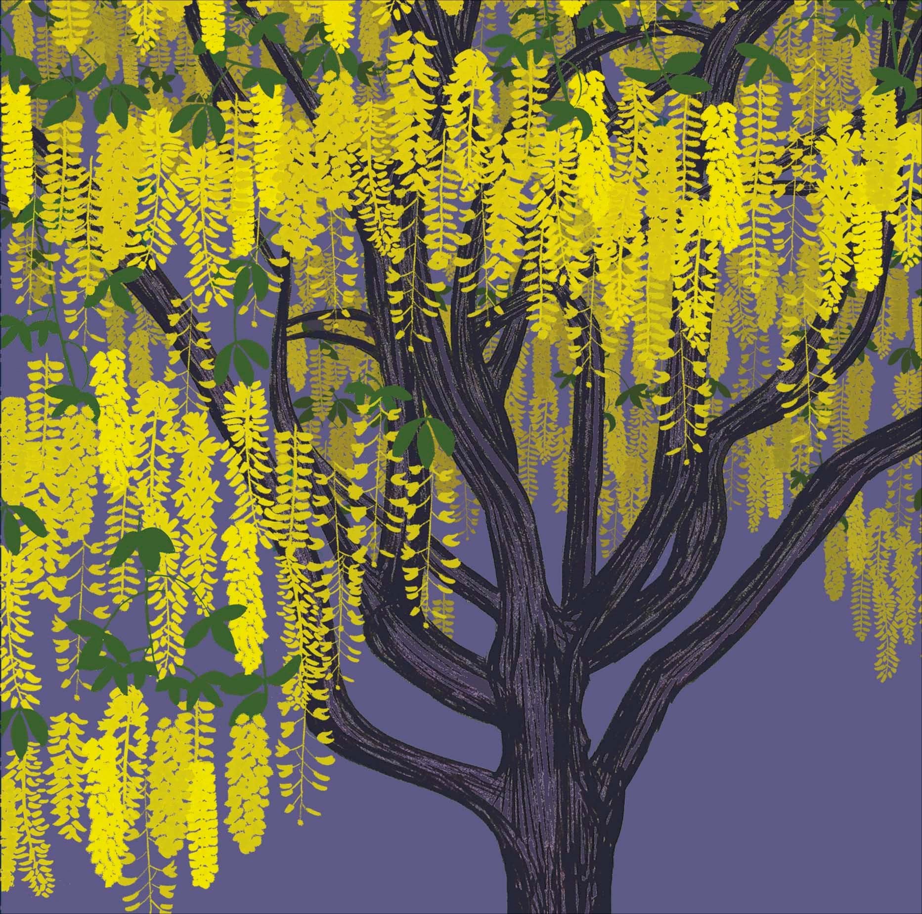 Laburnum Bloom Greeting Card