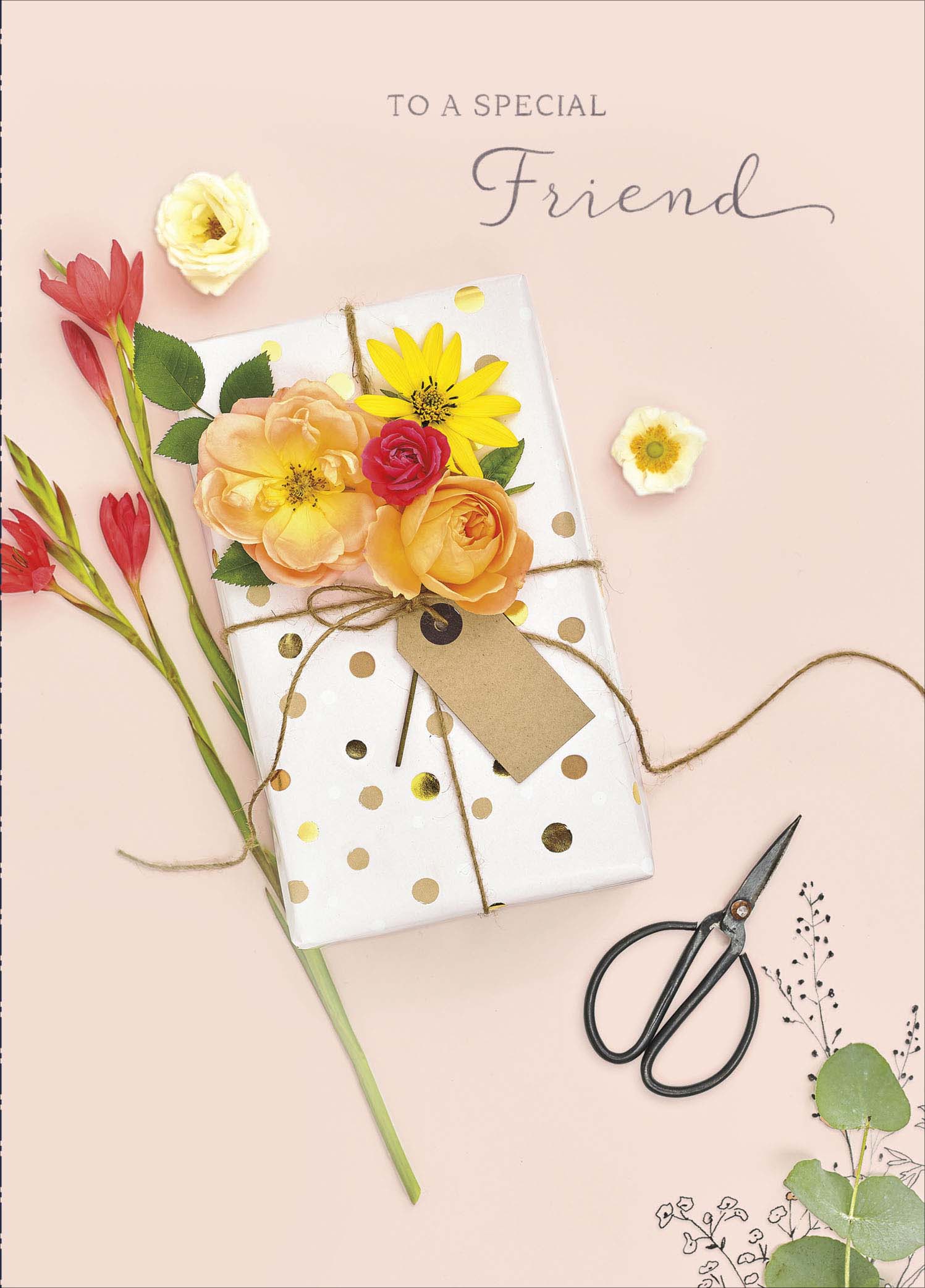 Wrapped Present Friend Birthday Card