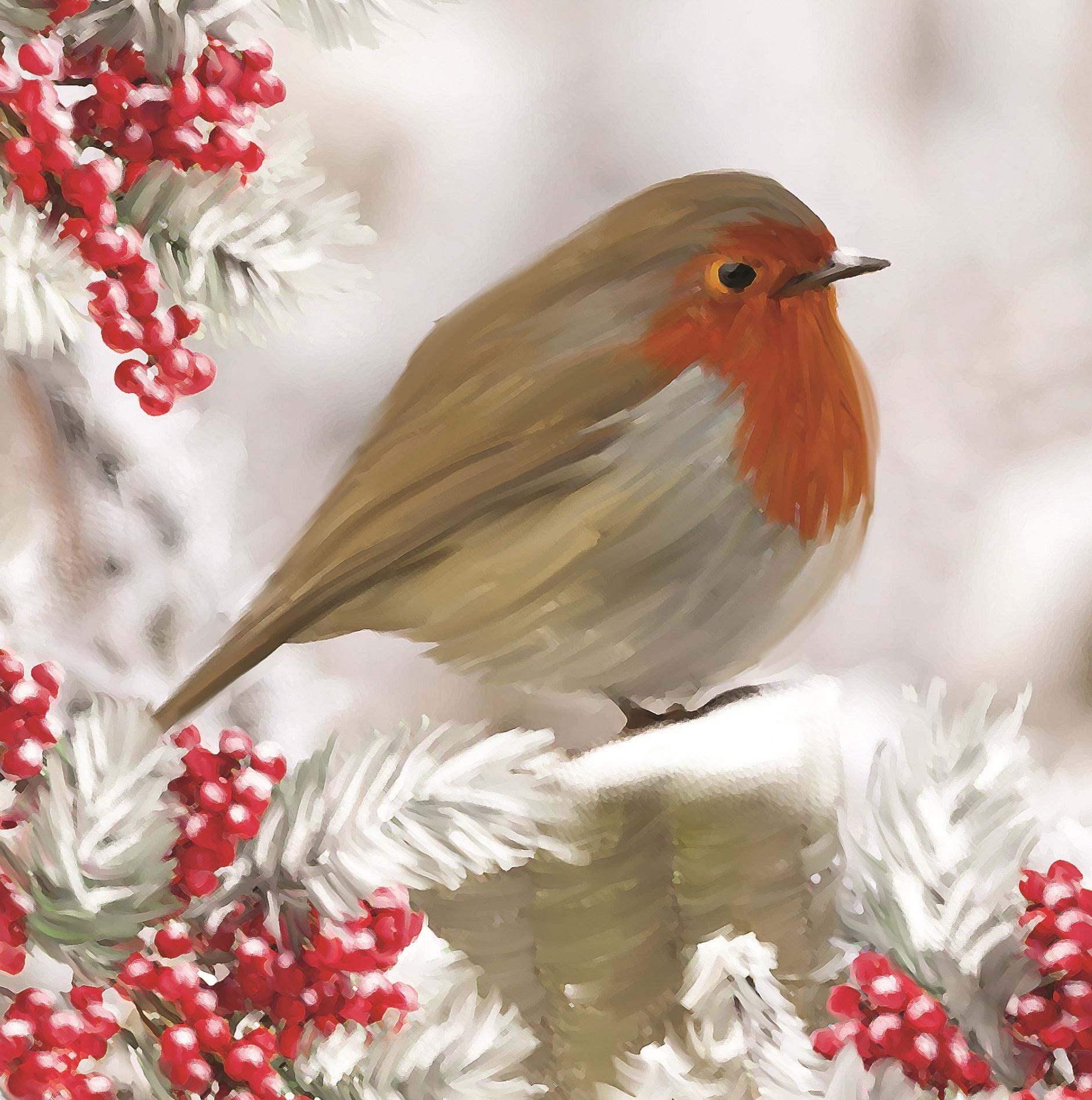 Proud Robin Personalised Christmas Card