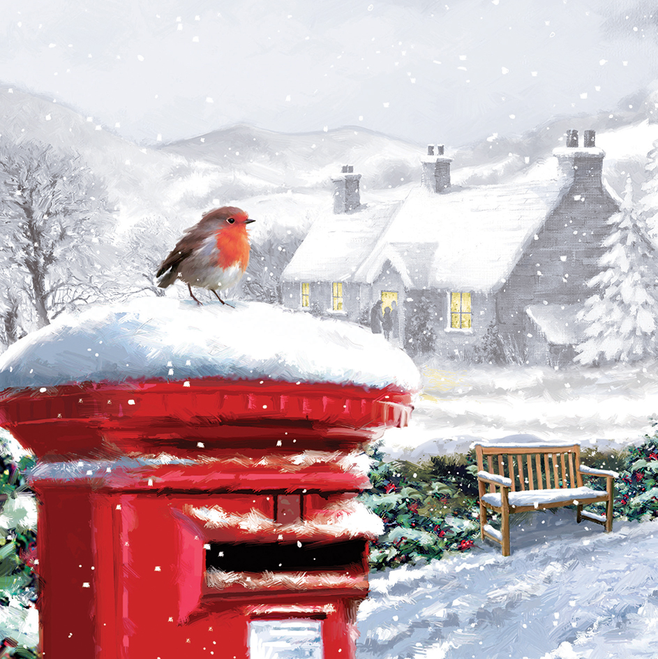 Robin on Postbox Christmas Card