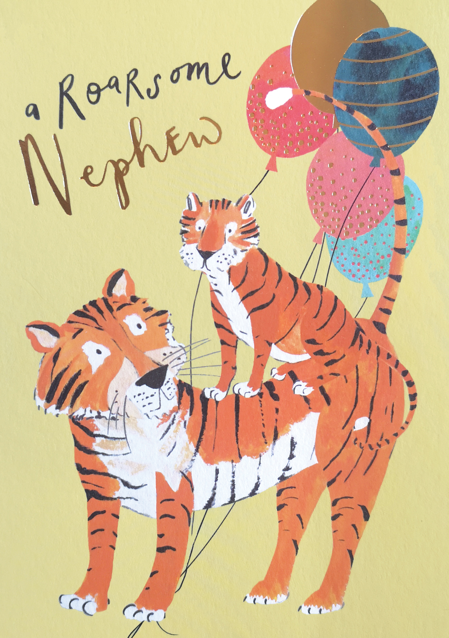 Roarsome Tigers Nephew Birthday Card