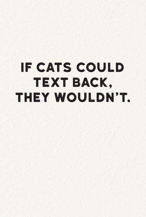 If Cats Could Text Greeting Card