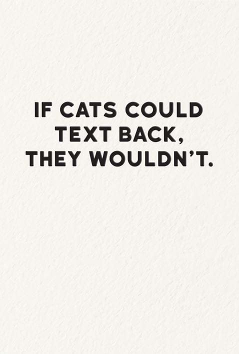 If Cats Could Text Greeting Card