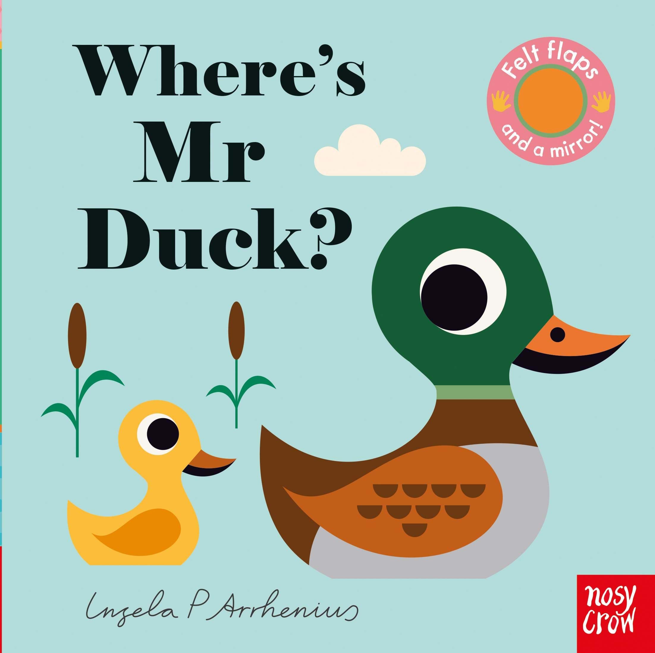 Where's Mr Duck? Hide and Seek Book