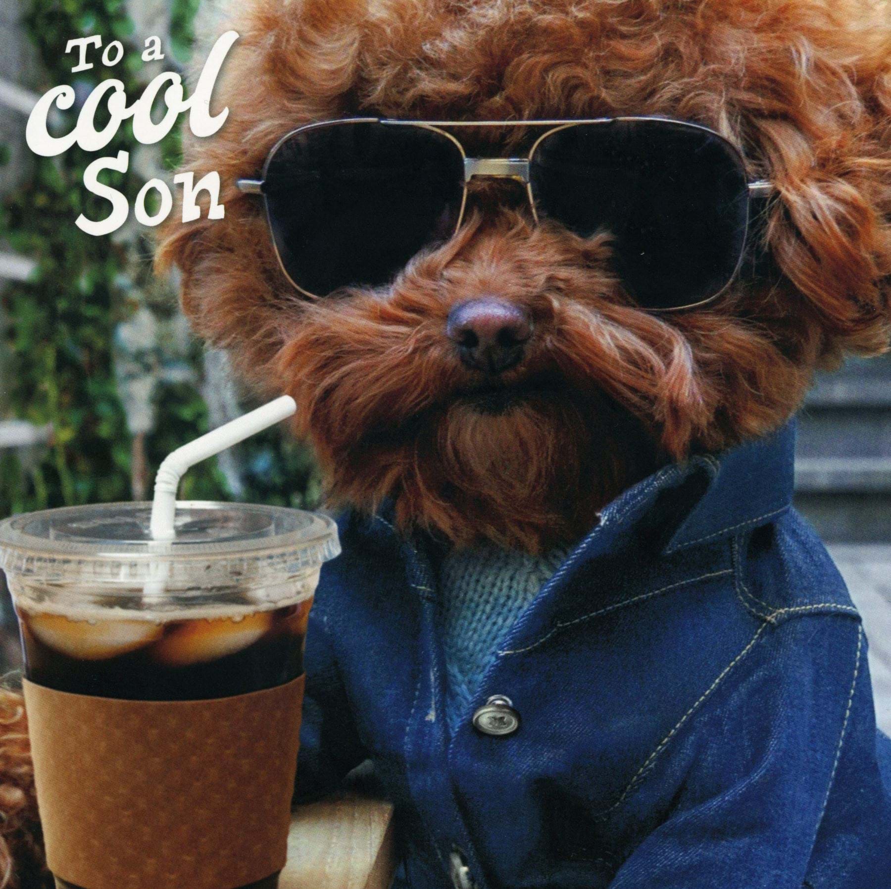 Cool Son Birthday Card