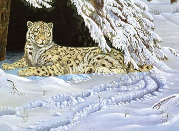 Snow Leopard Personalised Christmas Card