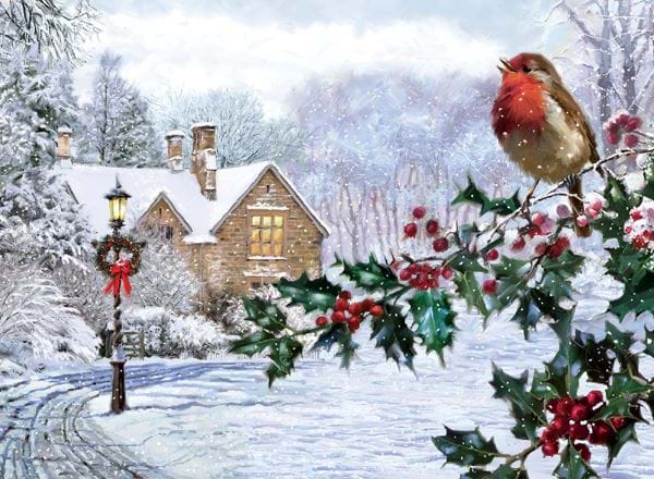 Robin on a Holly Branch Personalised Christmas Card
