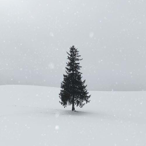 Single Tree Personalised Christmas Card
