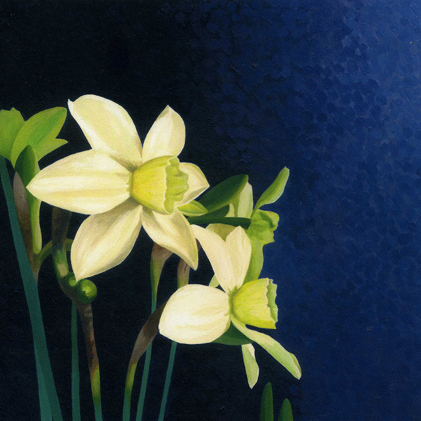 Daffodil Polar Hunter Greeting Card