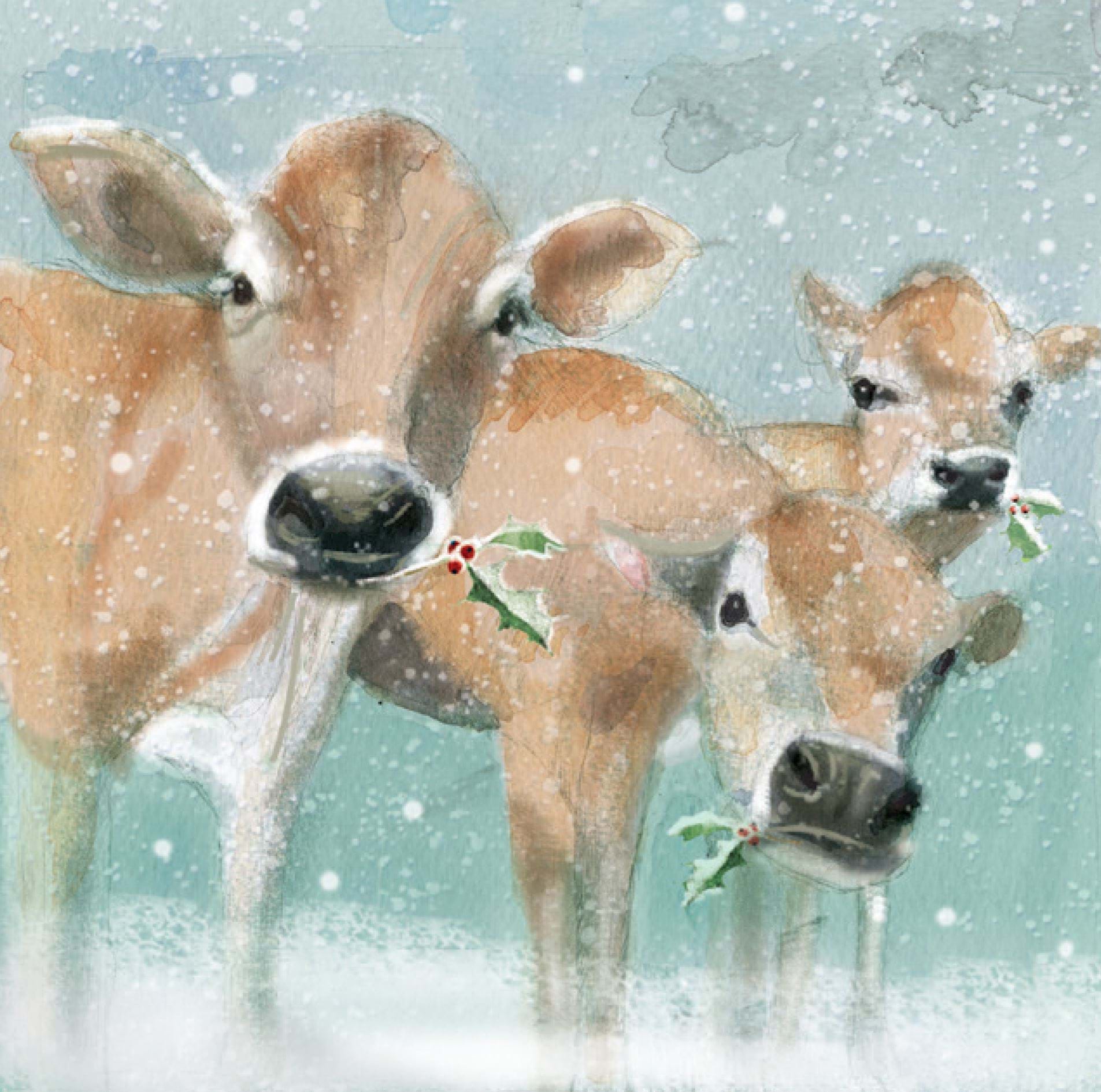 Mooey Cows Christmas Cards - Pack of 10