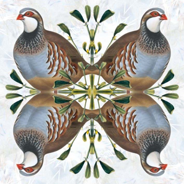 Red-legged Partridge Christmas Card Pack (5)