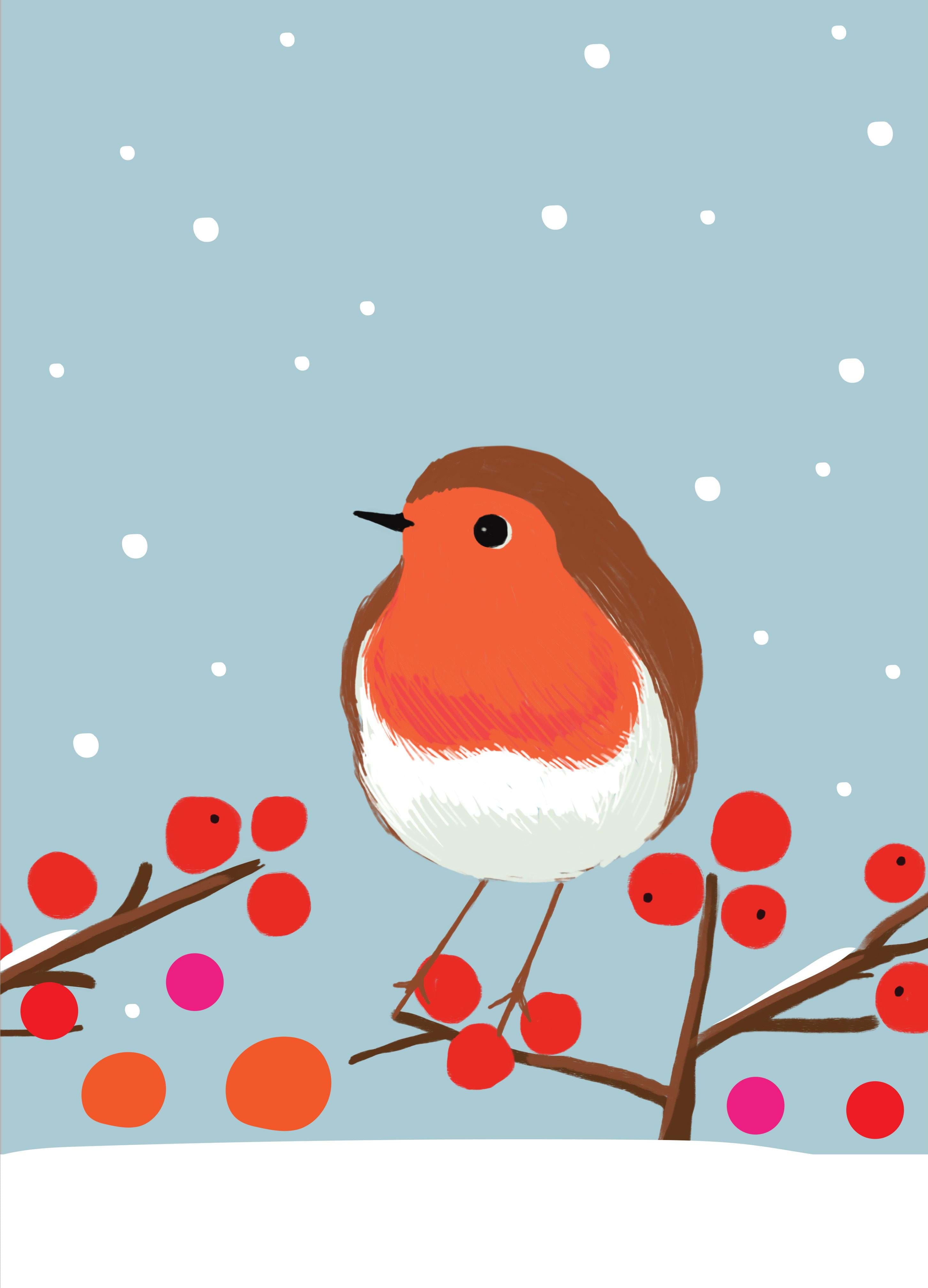 Little Robin Christmas Card Pack (8)