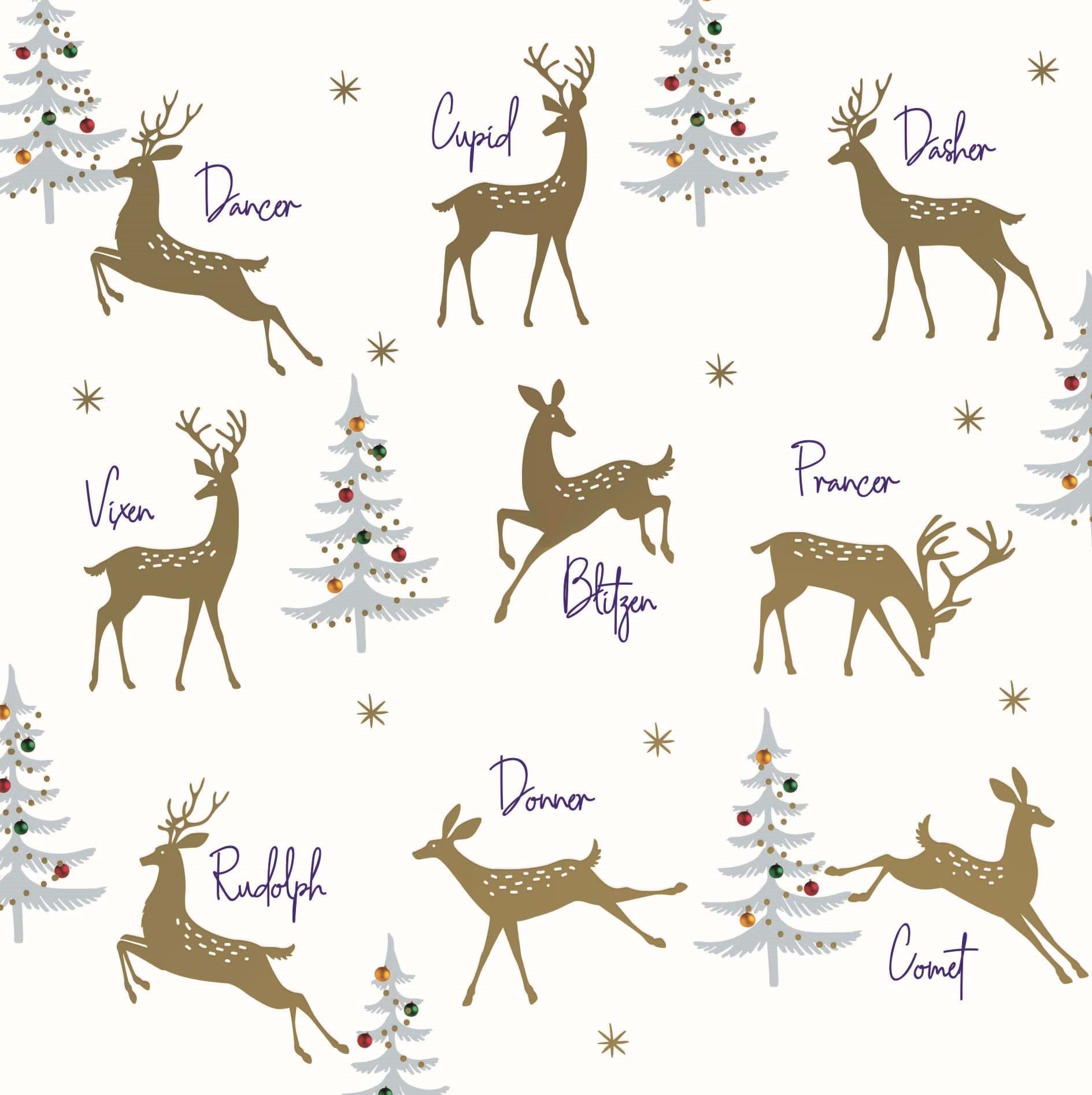 Reindeer Fun Personalised Christmas Card