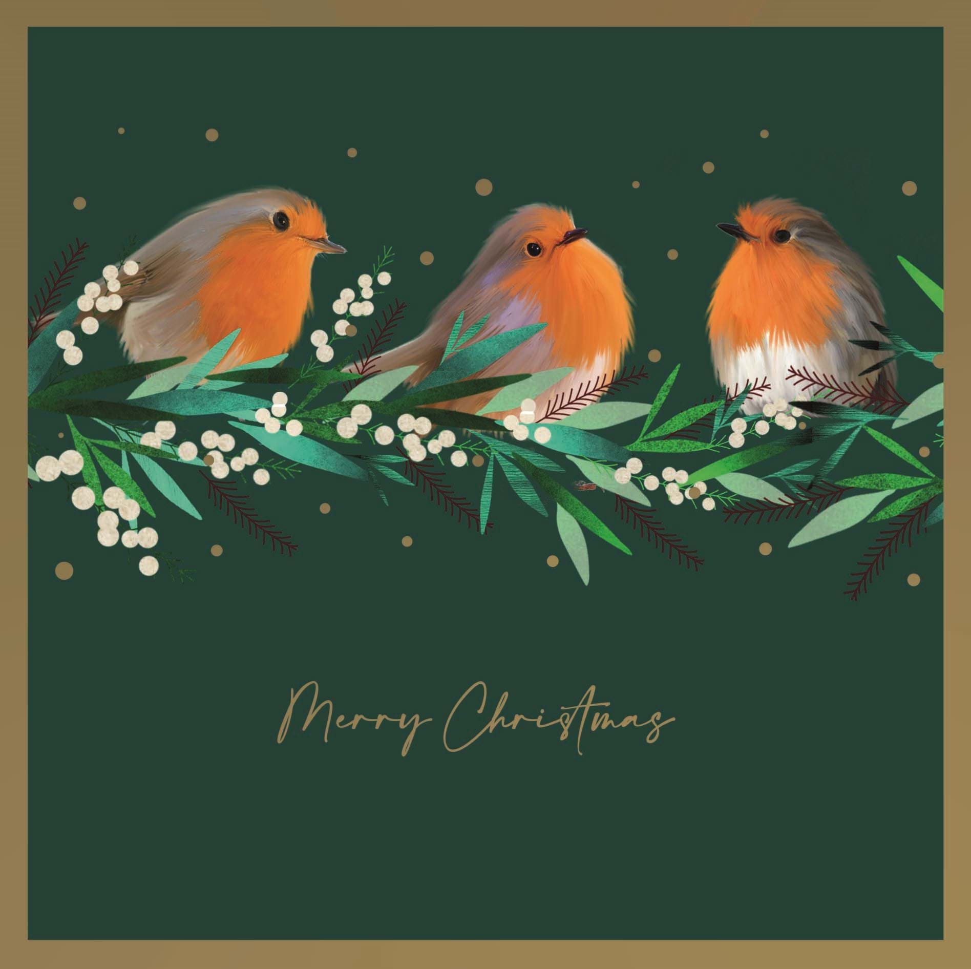 Robins & Holly Personalised Christmas Card