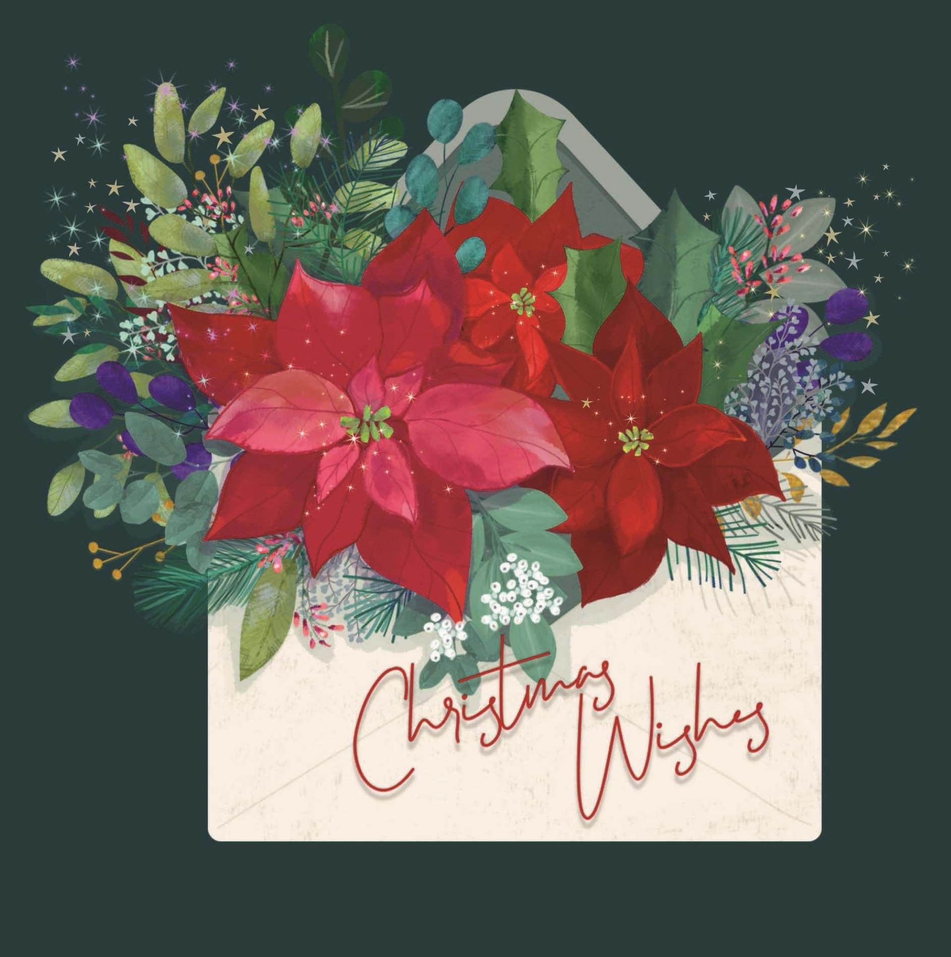 Letter with Poinsettia Personalised Christmas Card