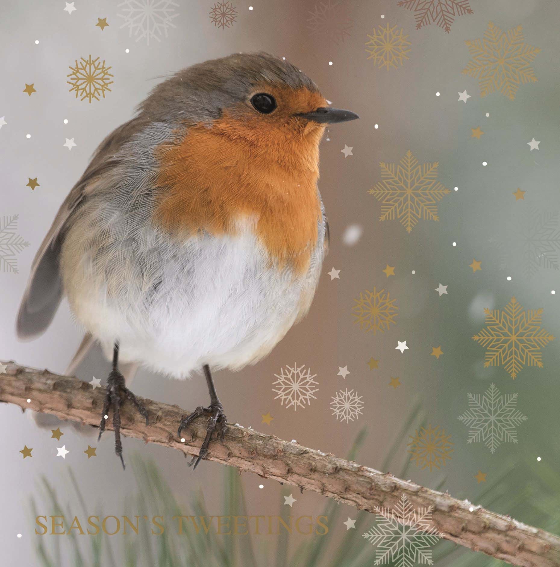 Robin & Snowflakes Personalised Christmas Card