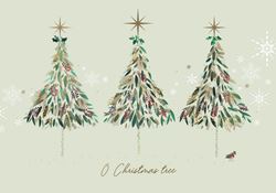 Contemporary Trees & Robin Personalised Christmas Card - Front Personalised