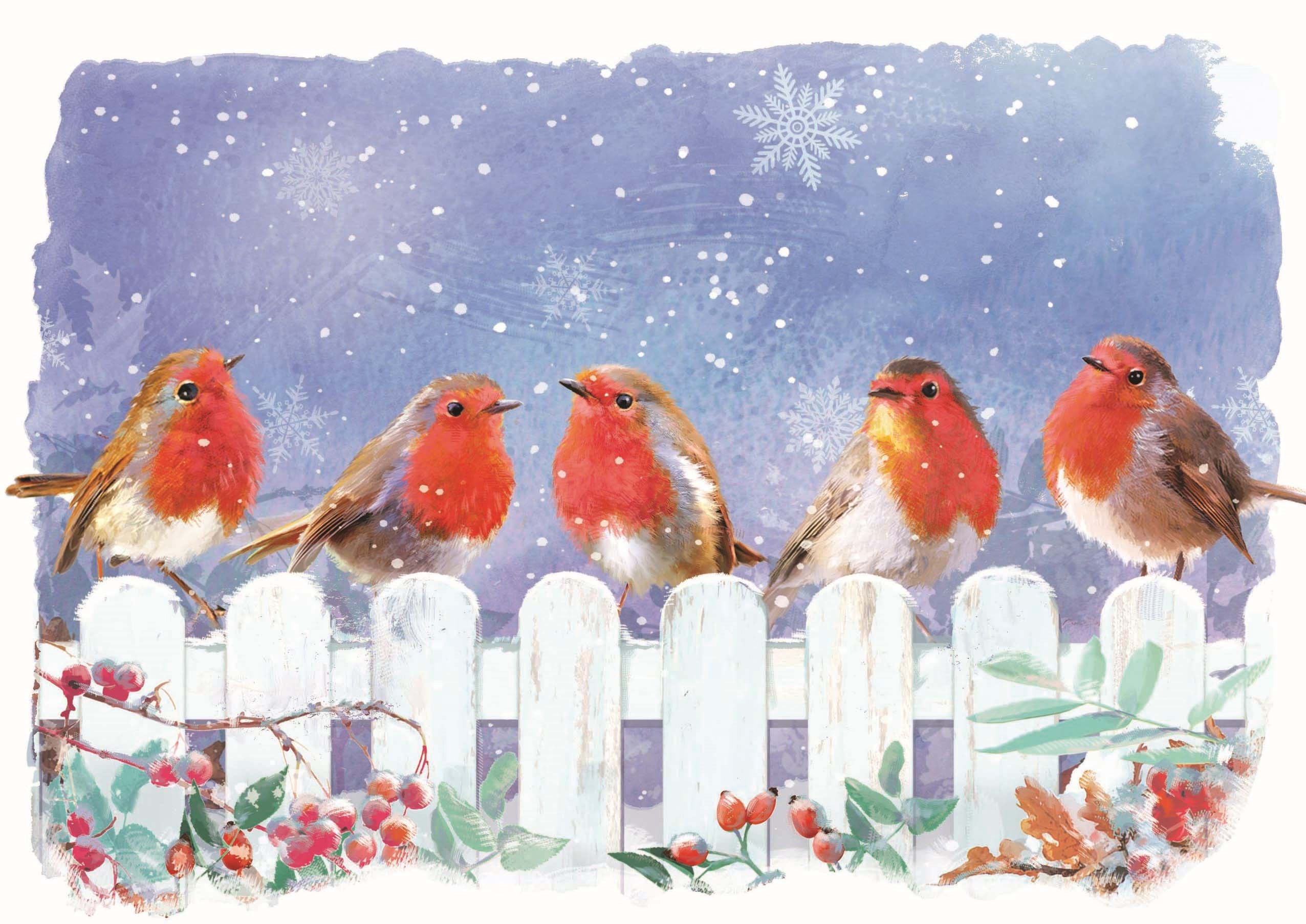Robins on a Fence Personalised Christmas Card