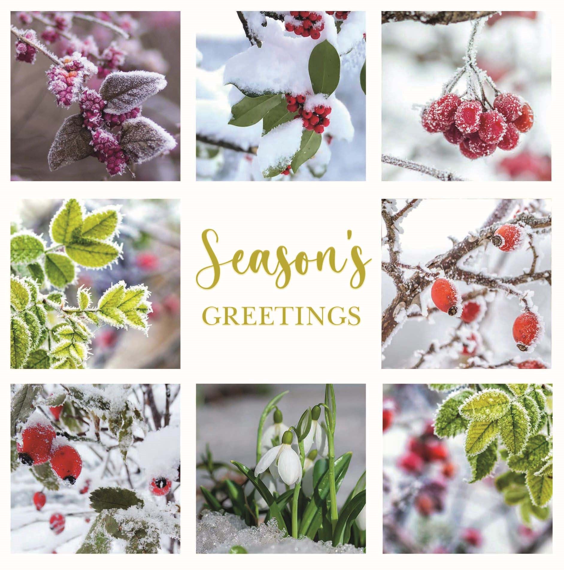 Winter Berries Collage Personalised Christmas Card