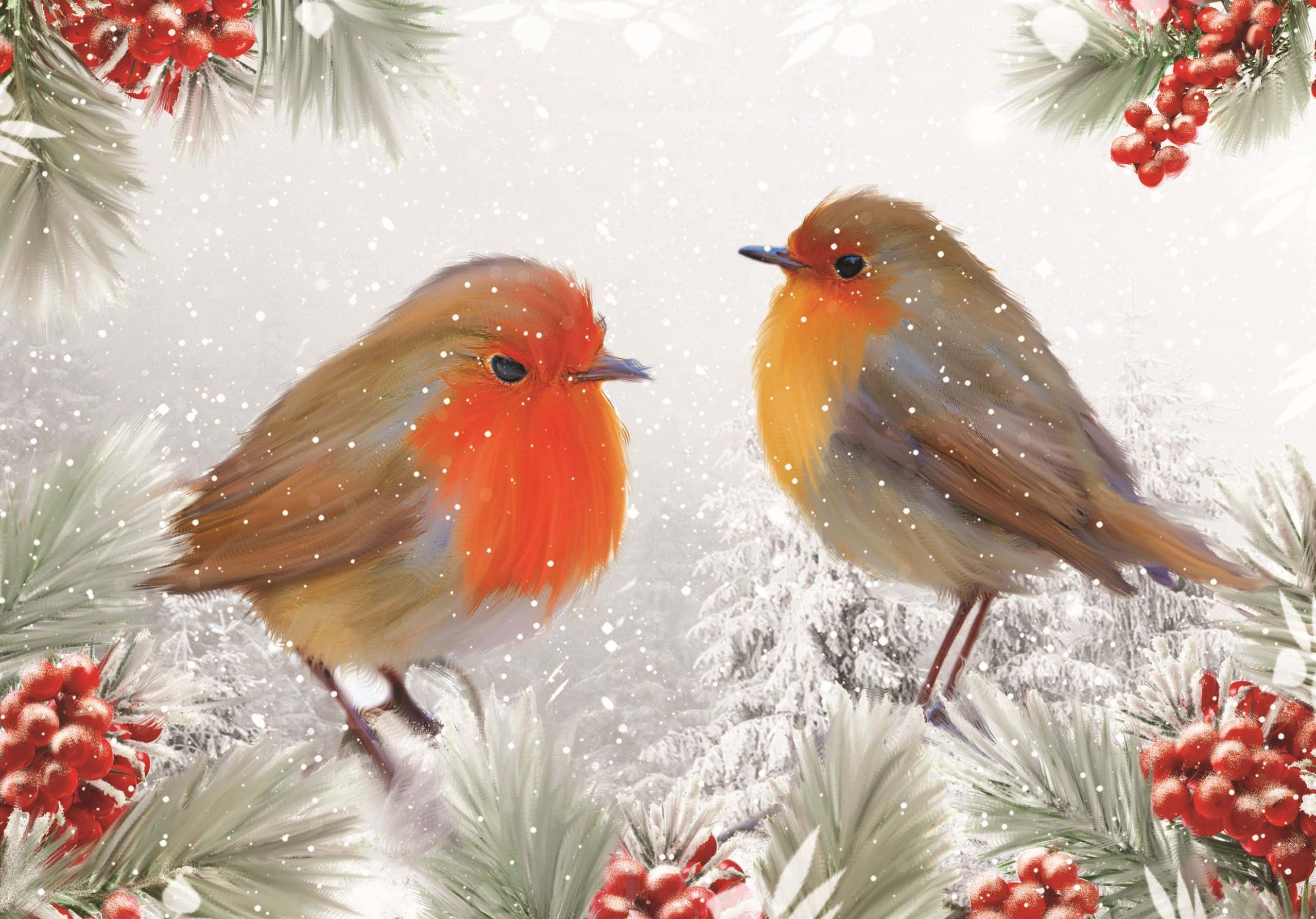 Robins & Berries Personalised Christmas Card