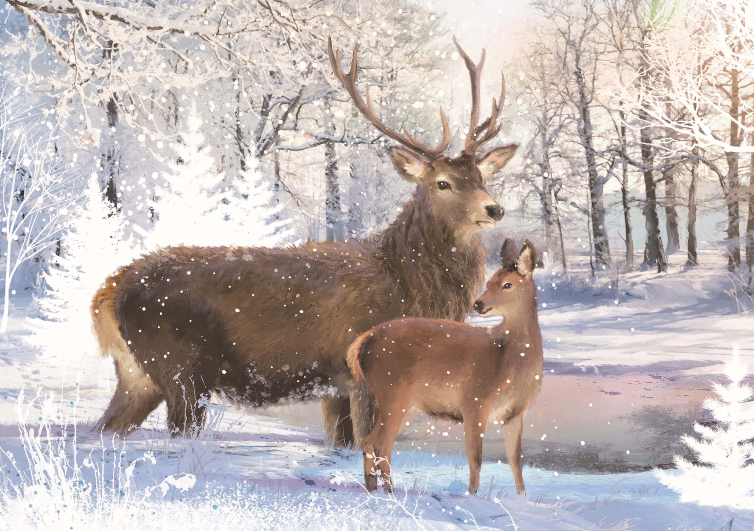 In the Snowy Field Personalised Christmas Card
