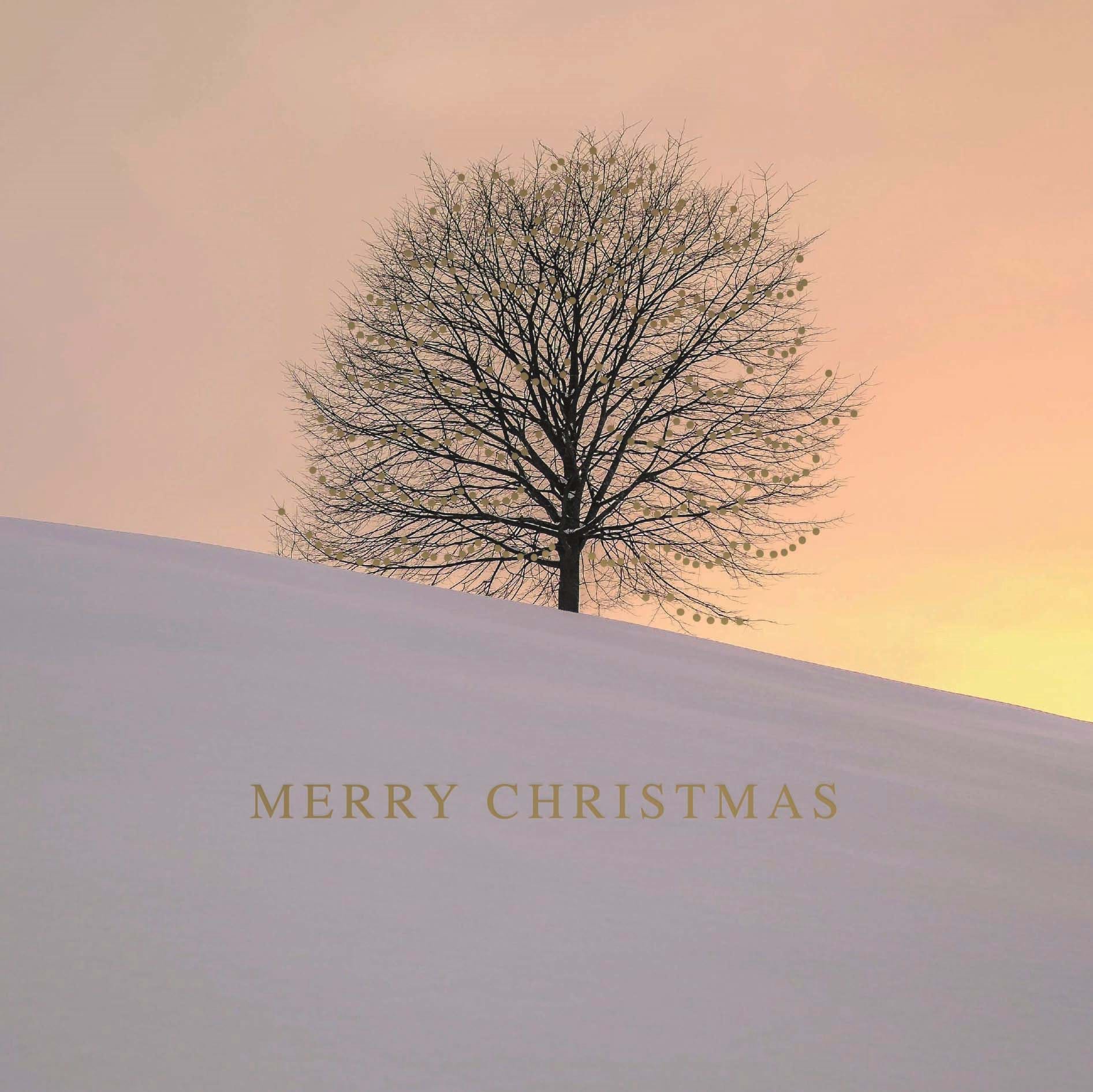 The Sunset Tree Personalised Christmas Card - Front Personalised