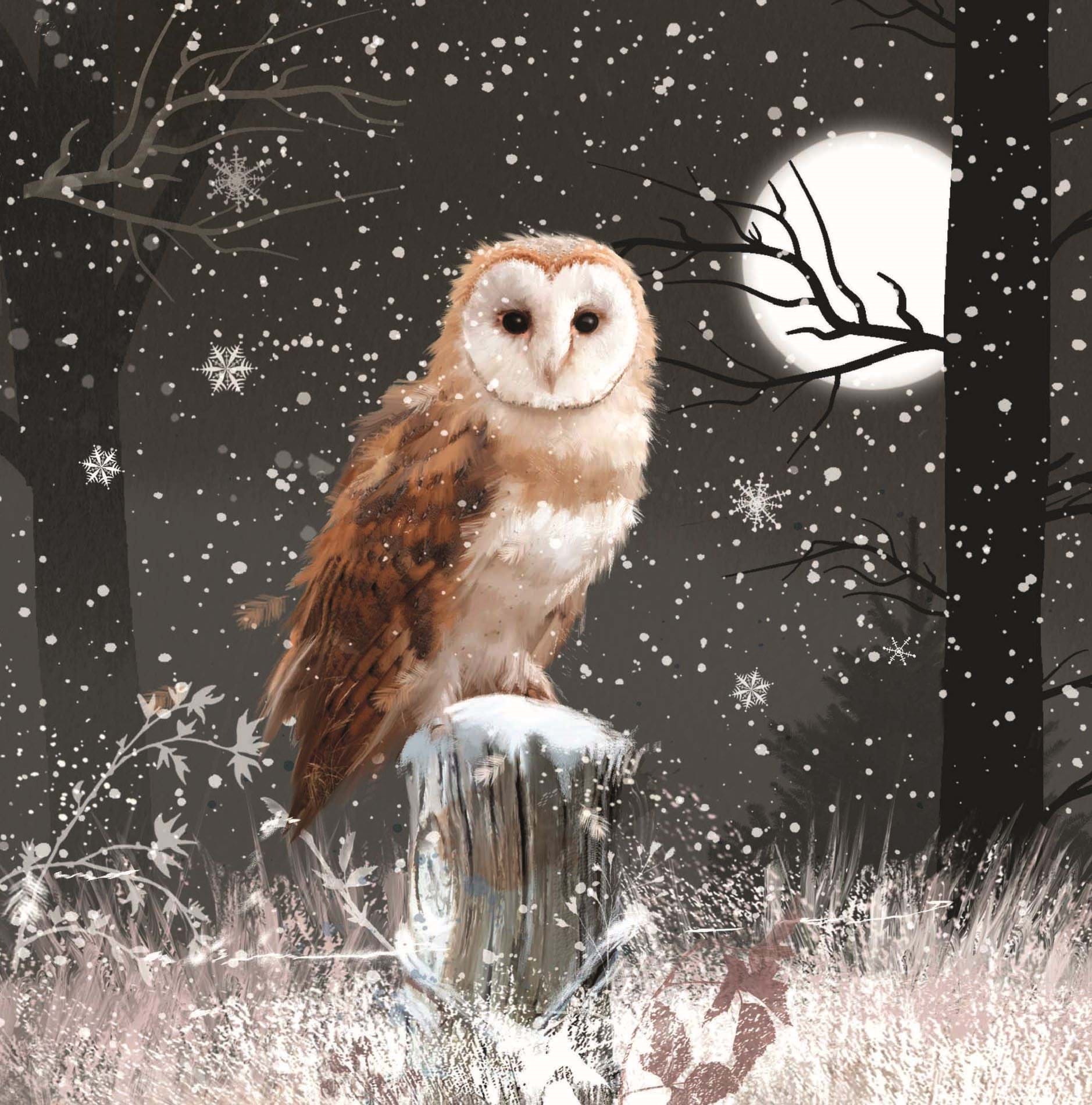 Owl at Night Personalised Christmas Card