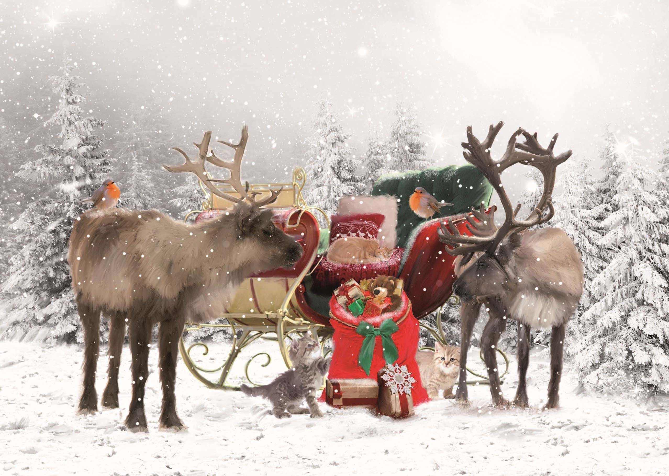 Reindeer Sleigh Personalised Christmas Card