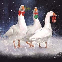 Festive Geese - Personalised Christmas Card