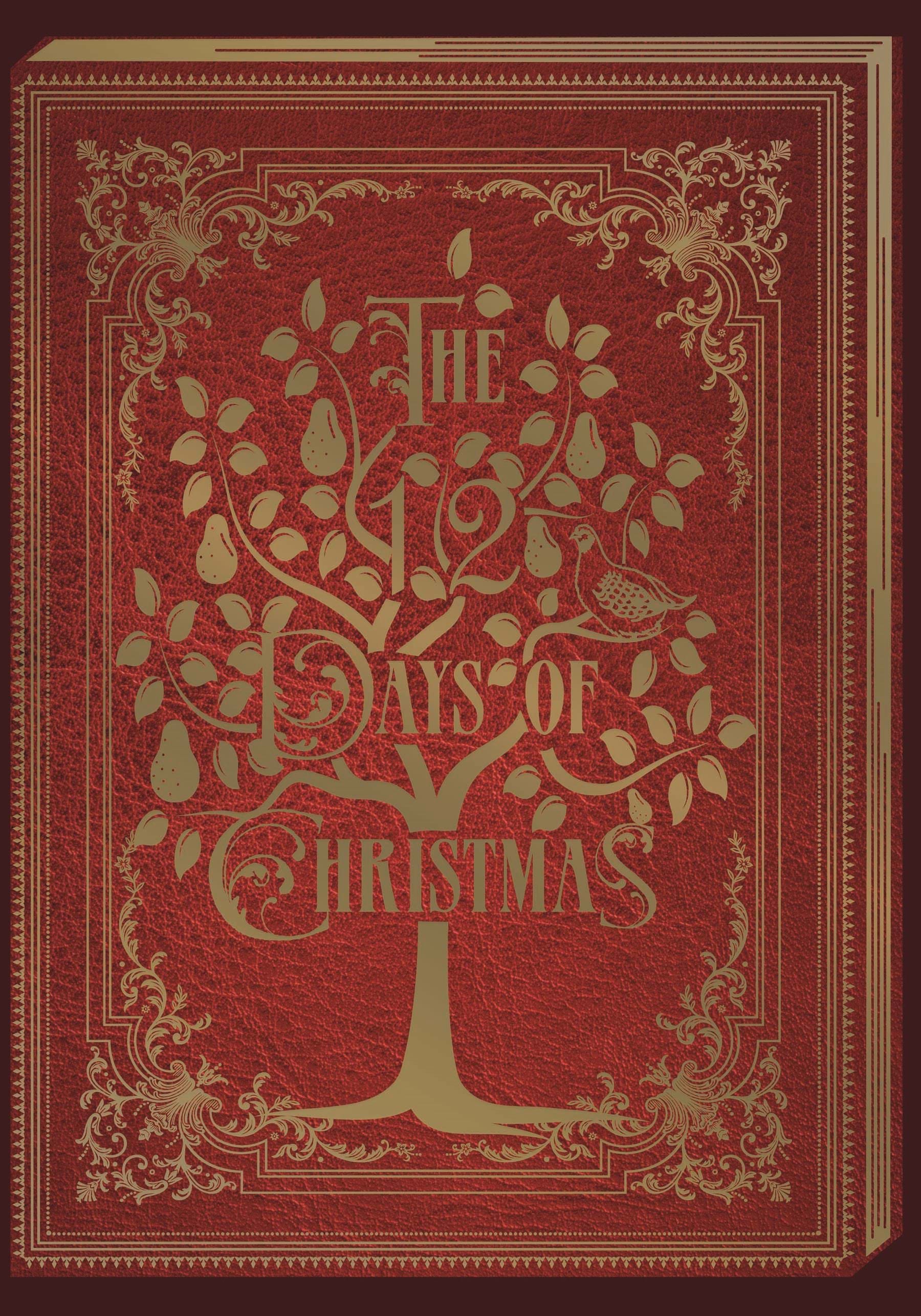 12 Days Story Book Personalised Christmas Card