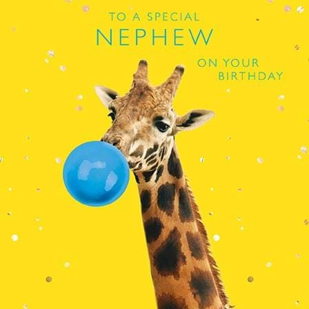 Giraffe Nephew Birthday Card