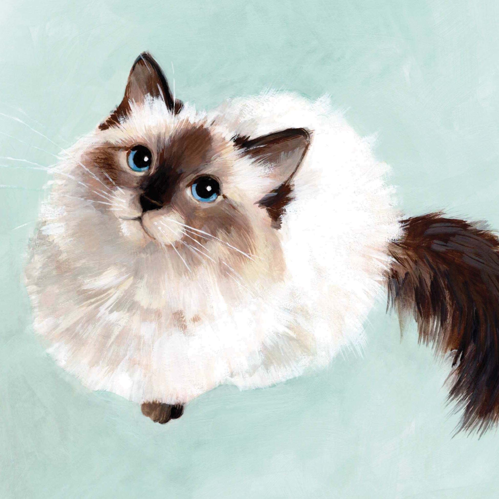 Ragdoll Cat Greeting Card