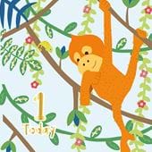 Little Monkey 1st Birthday Card