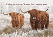 Highland Cow Duo - Front Personalised Christmas Card