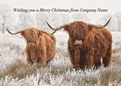 Highland Cow Duo Personalised Christmas Card - Front Personalisation
