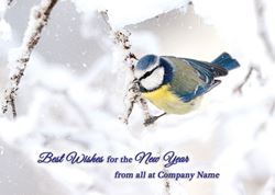 Icy Blue Tit Personalised Christmas Card - Front Personalisation