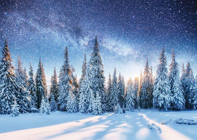 Majestic Winter’s Night Personalised Christmas Card